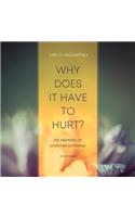 Why Does It Have to Hurt?: The Meaning of Christian Suffering
