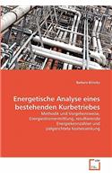 Energetische Analyse eines bestehenden Kurbetriebes: (German)
