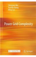 Power Grid Complexity