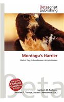 Montagu's Harrier: (English)