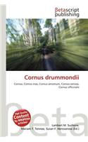 Cornus Drummondii: (English)