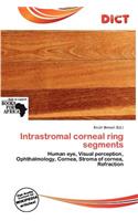 Intrastromal Corneal Ring Segments