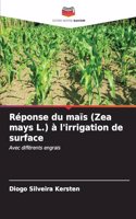 Réponse du maïs (Zea mays L.) à l'irrigation de surface