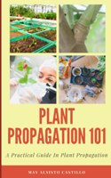 Plant Propagation 101