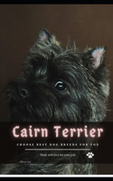 Cairn Terrier