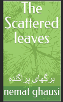 Scattered leaves