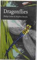 Dragonflies