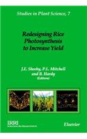 Redesigning Rice Photosynthesis to Increase Yield