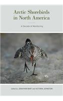 Arctic Shorebirds in North America