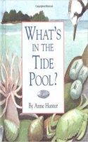What's in the Tide Pool?