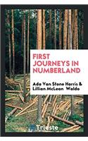 First Journeys in Numberland