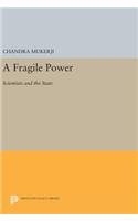 A Fragile Power: Scientists and the State