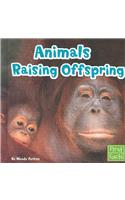 Animals Raising Offspring