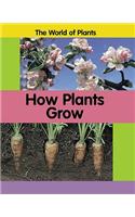 How Plants Grow