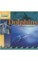 Dolphins