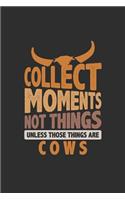 Collect Moments Not Things Unless Those Things Are Cows