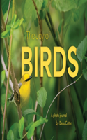 Joy of Birds