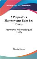 A Propos Des Blastomycetes Dans Les Tissus