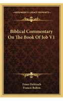 Biblical Commentary on the Book of Job V1