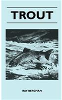 Trout