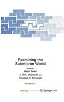 Examining the Submicron World