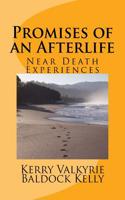 Promises of an Afterlife