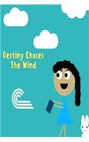 Destiny Chases The Wind