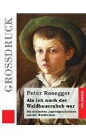 Als ich noch der Waldbauernbub war (Großdruck): Die schönsten Jugendgeschichten aus der Waldheimat