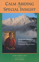 Calm Abiding and Special Insight: Achieving Spiritual Transformation through Meditation(Textual Studies and Translations in Indo-Tibetan Buddhism)