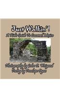Just Walkin'! A Kid's Guide to Cozumel, Mexico
