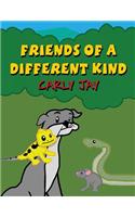 Friends of a Different Kind
