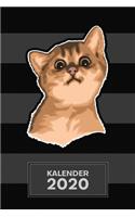 Kalender 2020