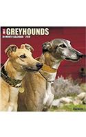 Just Greyhounds 2018 Calendar