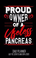 Proud Owner Of A Useless Pancreas Daily Planner July 1st, 2019 To June 30th, 2020: Funny Diabetic Diabetes Joke Dad Daily Planner