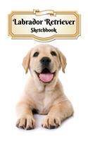 Labrador Retriever Sketchbook