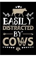 Easily Distracted By Cows