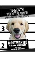 2019-2020 Weekly Planner - Most Wanted Golden Retriever: Daily Diary Monthly Yearly Calendar Large 8.5" x 11" Schedule Journal Organizer Notebook Appointment