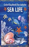 SEA LIFE - Coloring Book for Adults