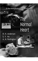 Echo-Morphologic Correlates: The Normal Heart (with Video)