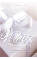 White Velvet Boxes