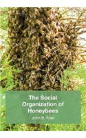 Social Organisation of Honeybees