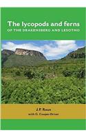 The Lycopods and Ferns of the Drakensberg and Lesotho