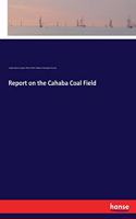 Report on the Cahaba Coal Field