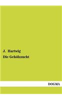 Die Gehölzzucht
