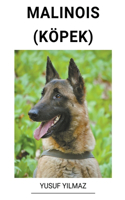 Malinois (Köpek)