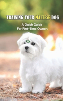 Training Your Maltese Dog