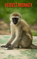 Vervet Monkey: Beautiful Pictures & Interesting Facts Children Book About Vervet Monkey