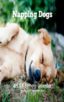 Napping Dogs 8.5 X 8.5 Photo Calendar January 2021 - December 2021: Sleeping Dogs Monthly Calendar with U.S./UK/ Canadian/Christian/Jewish/Muslim Holidays-Dog Breeds Puppies