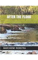 After the Flood