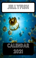 Jellyfish Calendar 2021